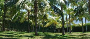 Beautiful villa/farmhouse in exclusive 5,000m2 botanical garden,  private pool