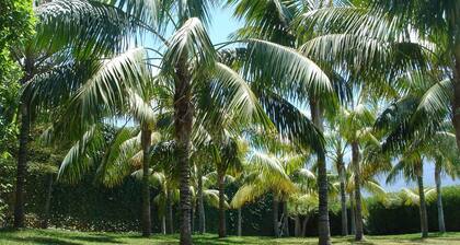 Beautiful villa/farmhouse in exclusive 5,000m2 botanical garden, private pool