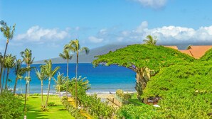 Um resort tropical com vista para o oceano, palmeiras e uma grande árvore com copa arqueada.