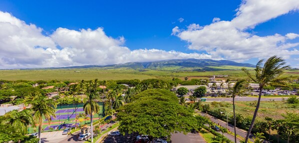 A view of a residential area with a tennis court, palm trees, and a mountainous landscape in the background.