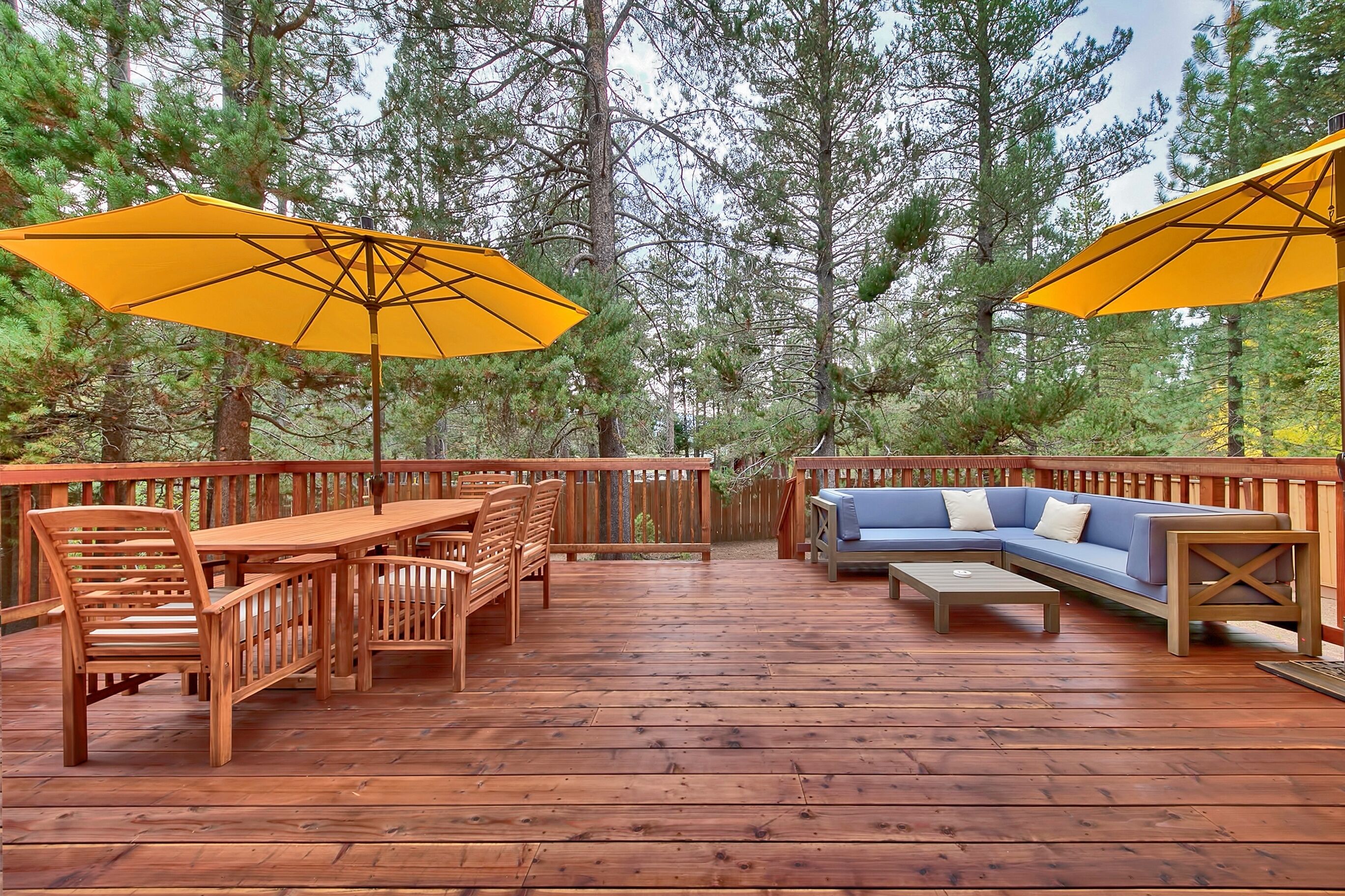 Cabin Nestled Among the Tall Pine- Come enjoy our beautiful spring weather!