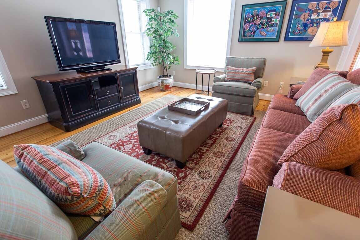 A living room with a flat-screen TV, a potted plant, a grey sofa, a patterned rug, and artwork on the wall.