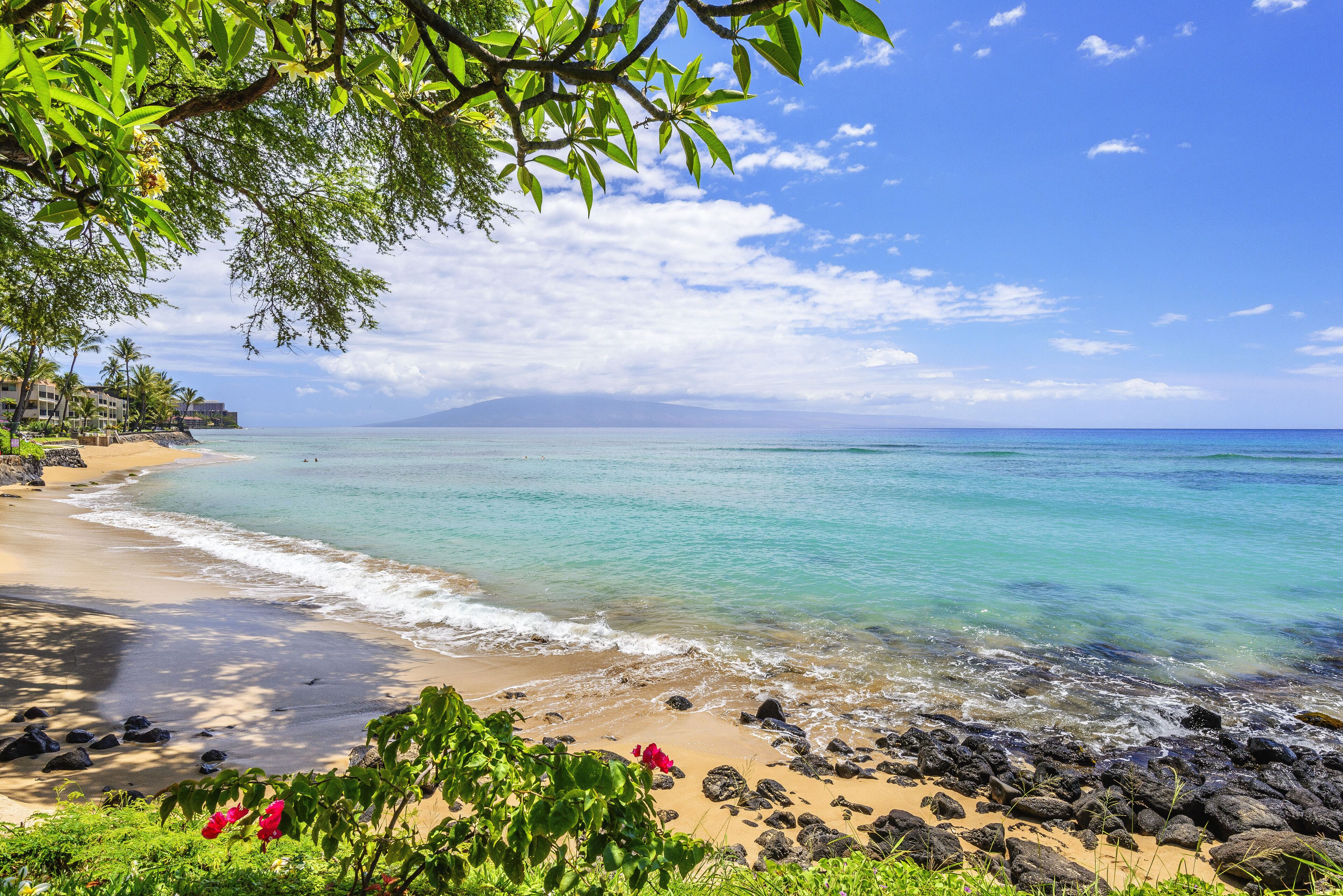 A beach with clear turquoise water, a sandy shore, and a distant mountain.