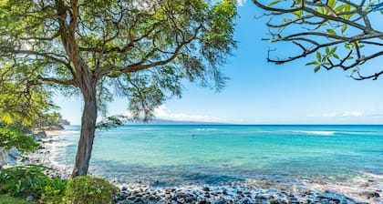 Direct Oceanfront ground floor - Kuleana 706