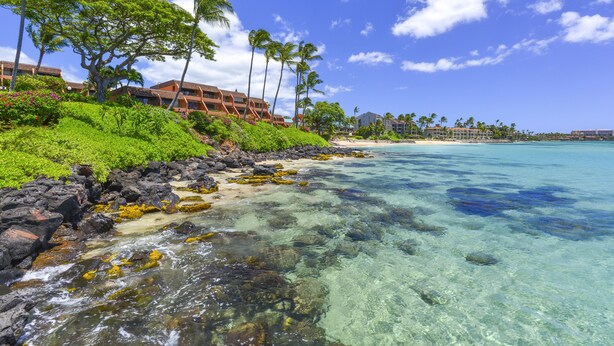 Un hotel frente a la playa con aguas turquesas cristalinas, exuberante vegetación y palmeras.