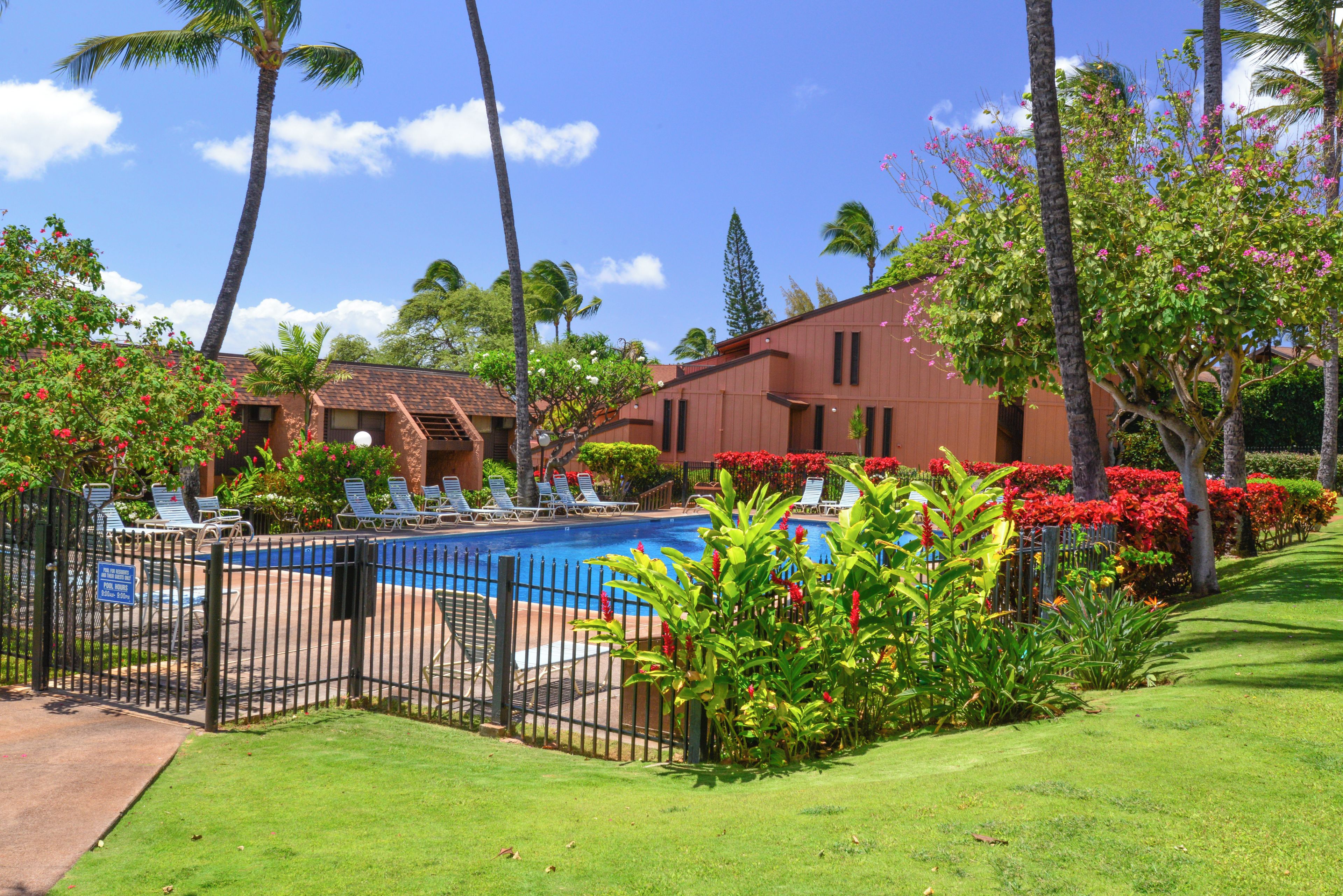 A pool area with lounge chairs, a fenced pool, and tropical landscaping.