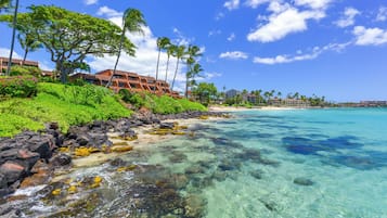 A beachfront hotel with clear turquoise waters, lush greenery, and palm trees.