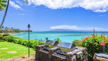 A stone barbecue area with two grills, a clear view of the ocean, and a tropical setting with palm trees and a sign indicating barbecue hours.