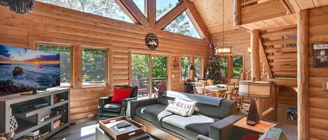 Smart TV, chimenea, reproductor de DVD