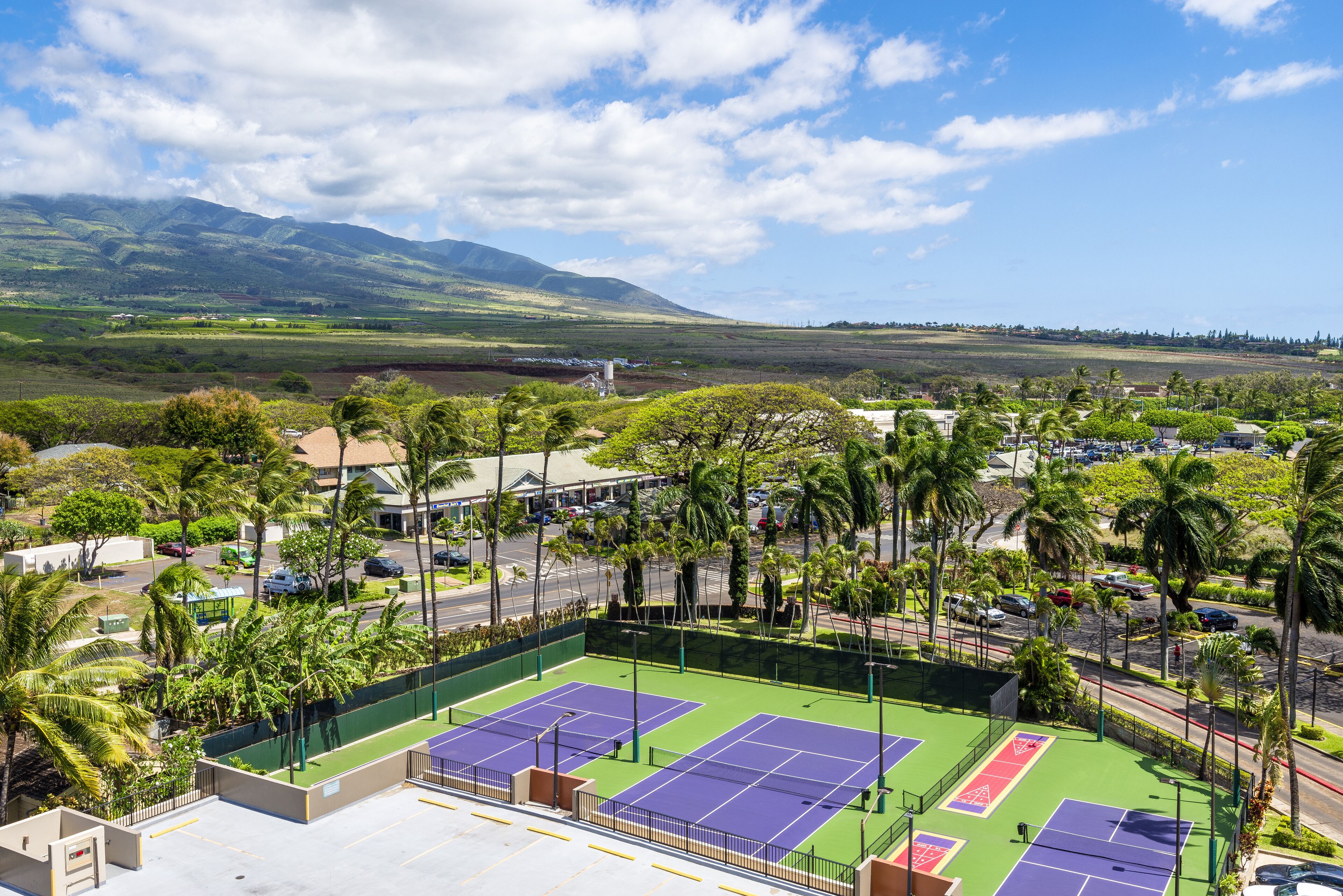 A tennis court with a view of mountains and palm trees.
