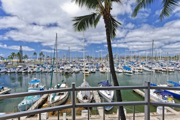 A marina with numerous boats docked, palm trees, and a clear sky.