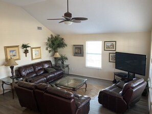 TV, video games, DVD player, video library