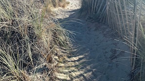 A sandy beach path leading to the ocean, surrounded by tall grasses and wooden fencing. - Steps From the Beach, Private Yard, Hot Tub (Stinson Beach)