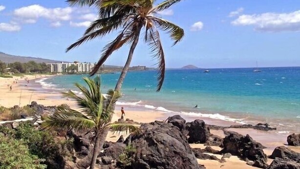 A beach with rocky terrain, palm trees, and a clear blue sea.