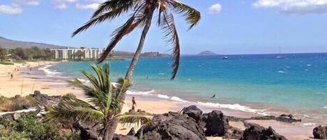 Plage à proximité, chaises longues, serviettes de plage