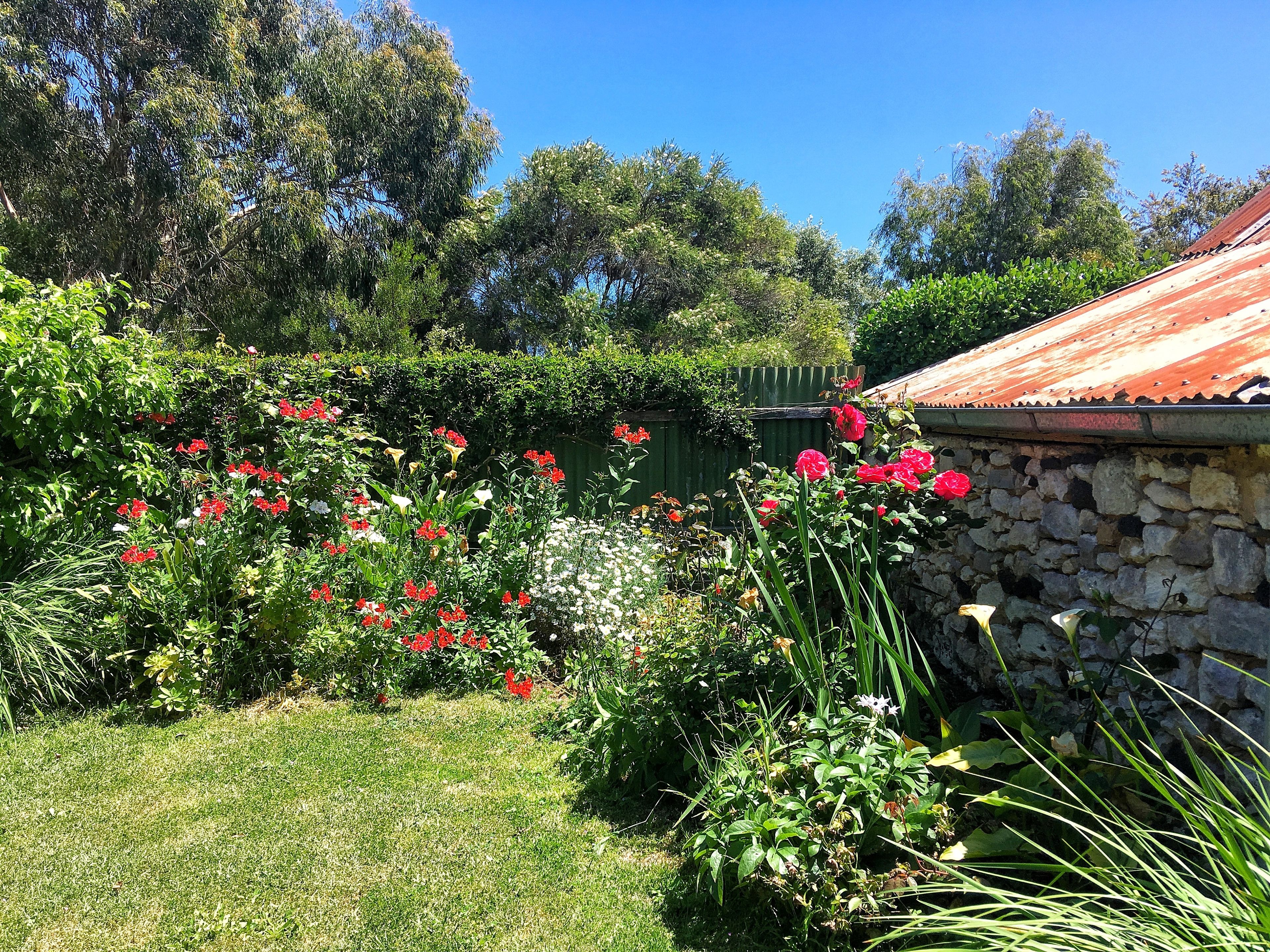 Un jardin avec des fleurs rouges, un mur de pierre et une clôture verte.