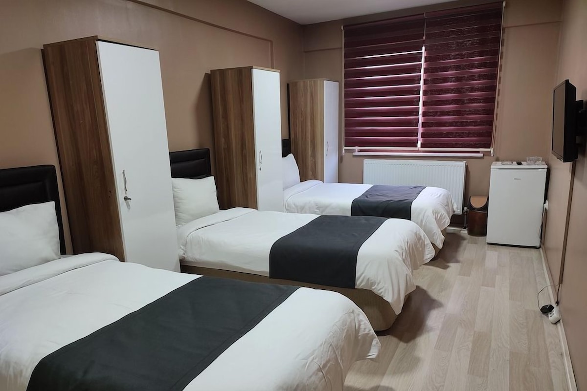 A hotel room with two beds, a wardrobe, a radiator, a television, and a small refrigerator.