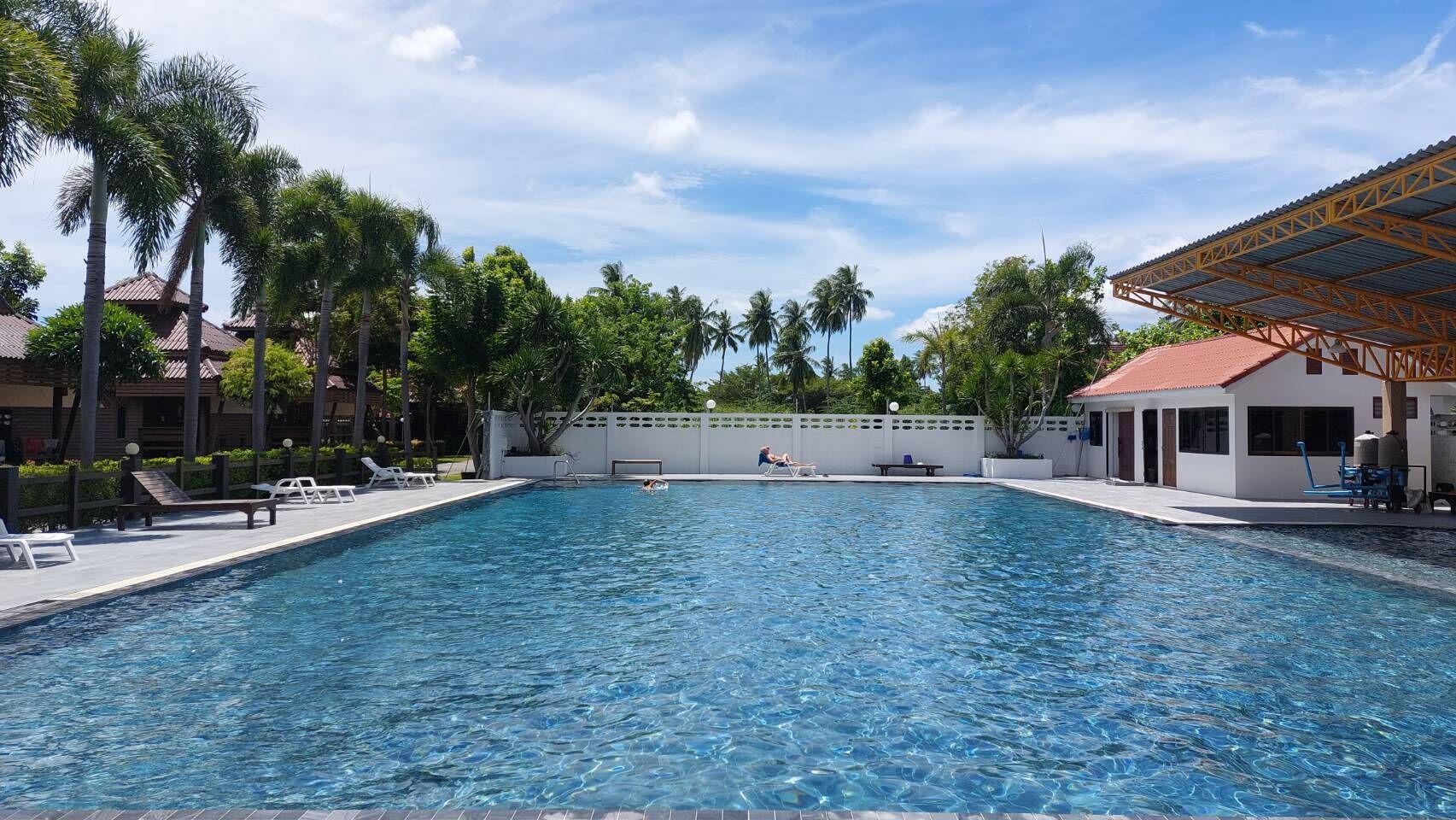 A rectangular swimming pool with clear blue water, surrounded by lounge chairs and palm trees.