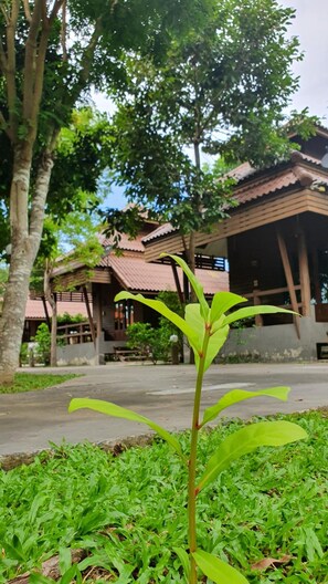Property grounds - Pruksa Resort Prachuabkhirikhan (Prachuap Khiri Khan)