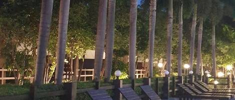 A row of wooden benches aligned along a pathway with palm trees on one side.