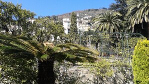 Un jardin où l’on trouve une grande variété de plantes, notamment des palmiers et des fougères.