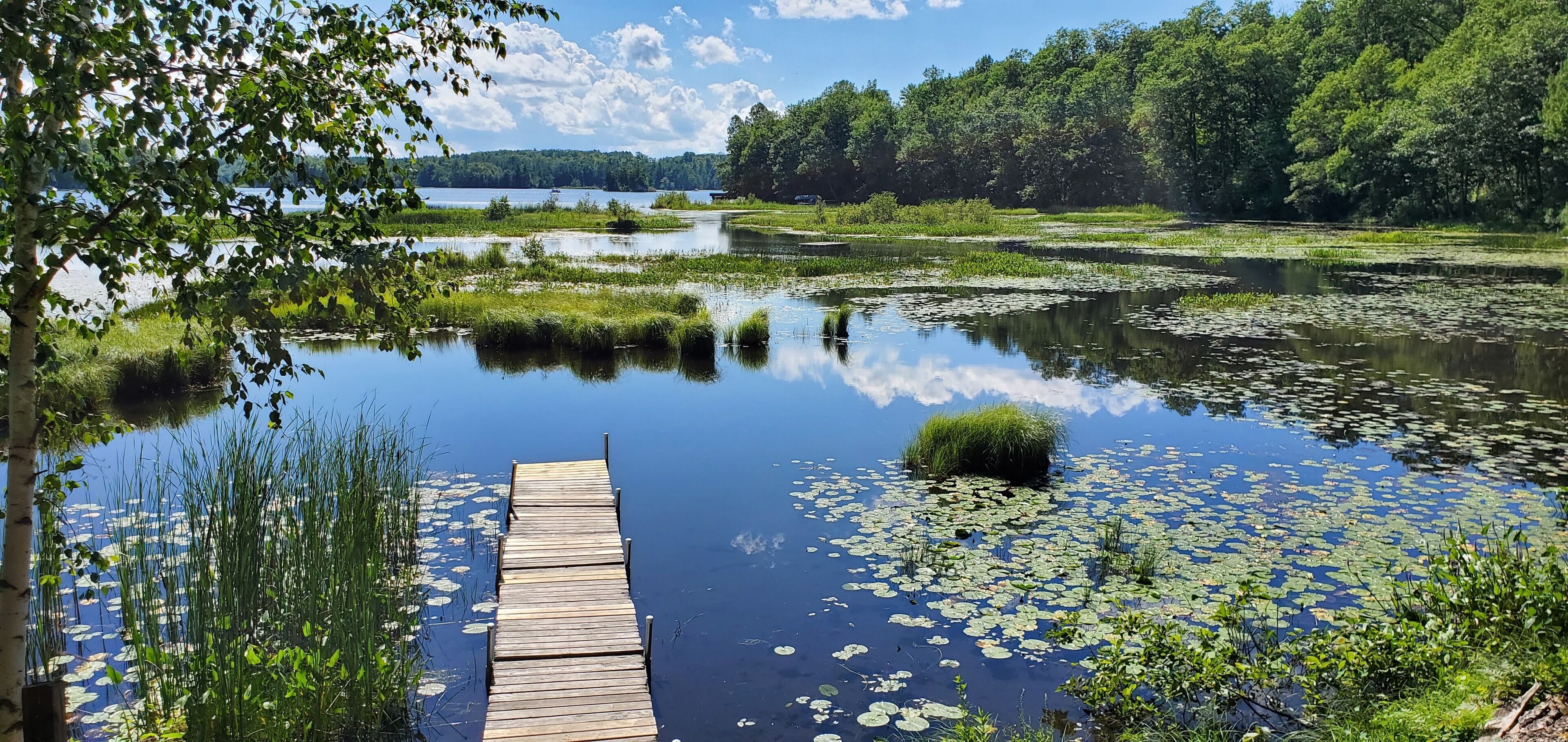 Un molo di legno si protende in un lago calmo, circondato da una vegetazione rigogliosa e alberi.