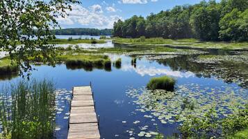 Un molo di legno si protende in un lago calmo, circondato da una vegetazione rigogliosa e alberi.