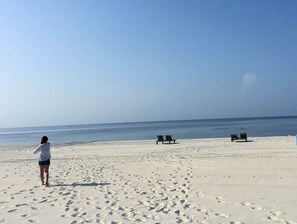 A beach with footprints leading to two rows of empty beach chairs.