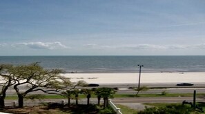 A beach view with a road and trees in the foreground.
