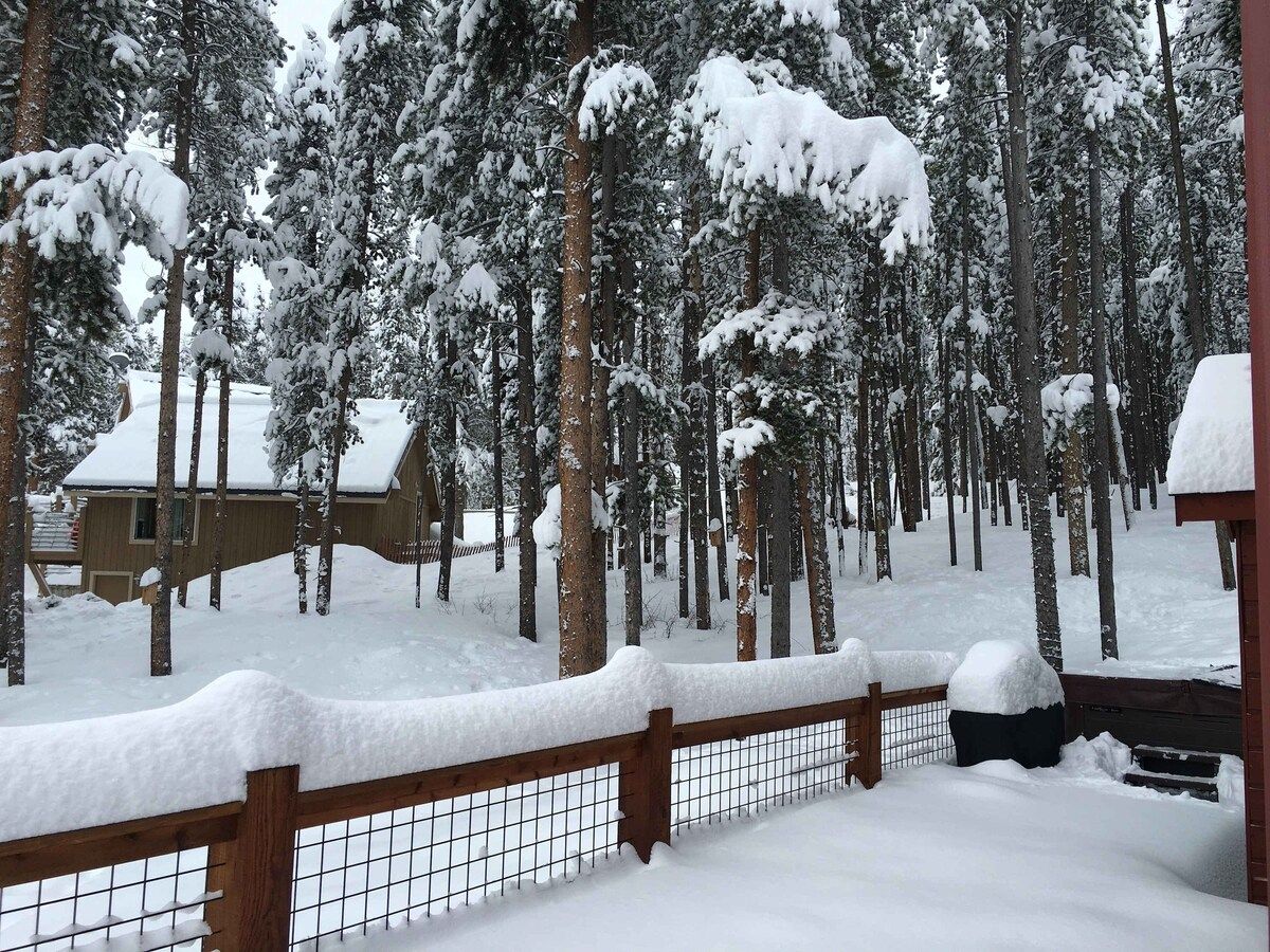 A snow-covered forest with a wooden cabin and a fenced area.