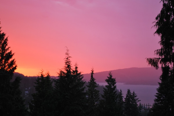Beautiful pink skies! View from house!