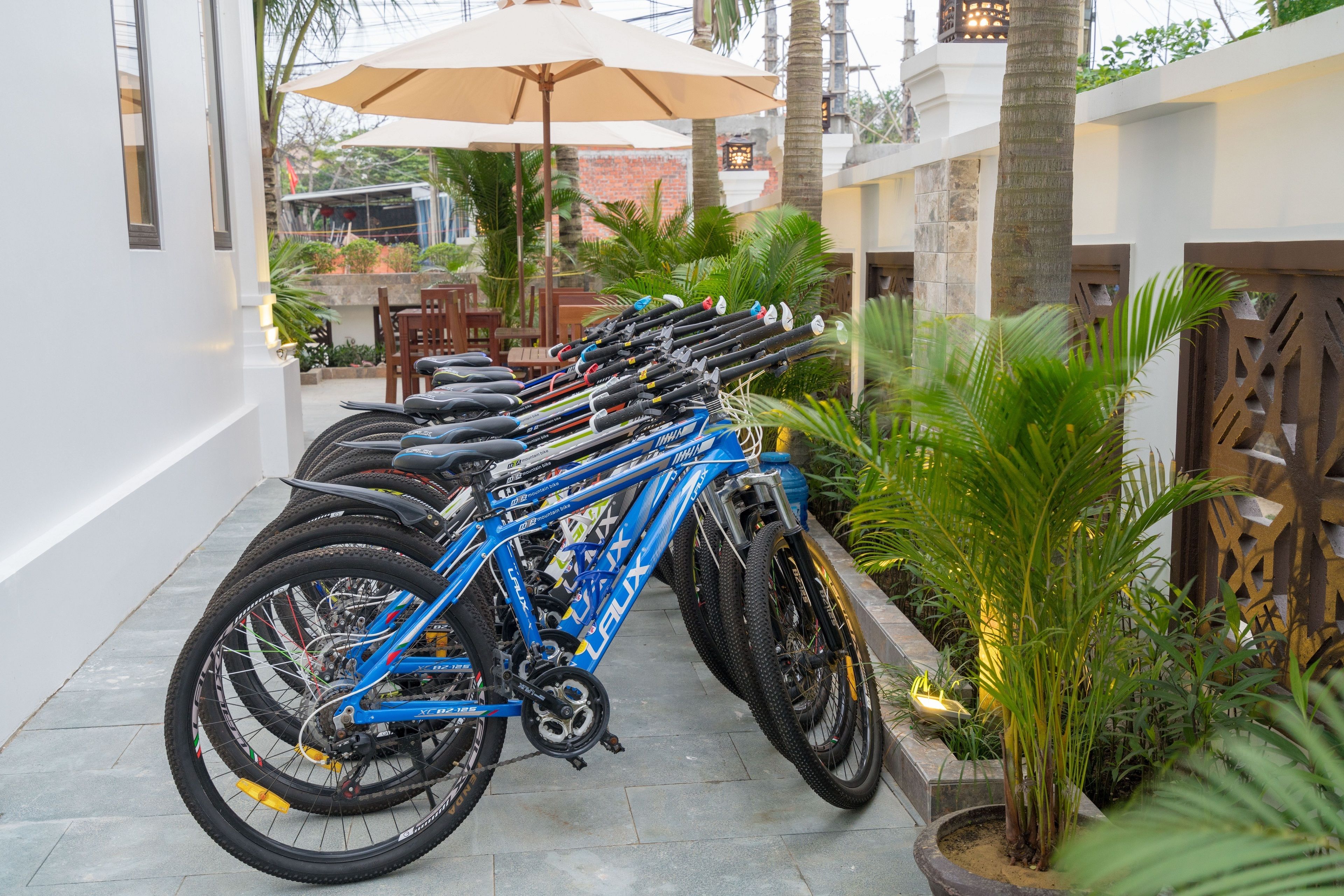 A row of bicycles parked outdoors, with a palm tree and a building in the background.