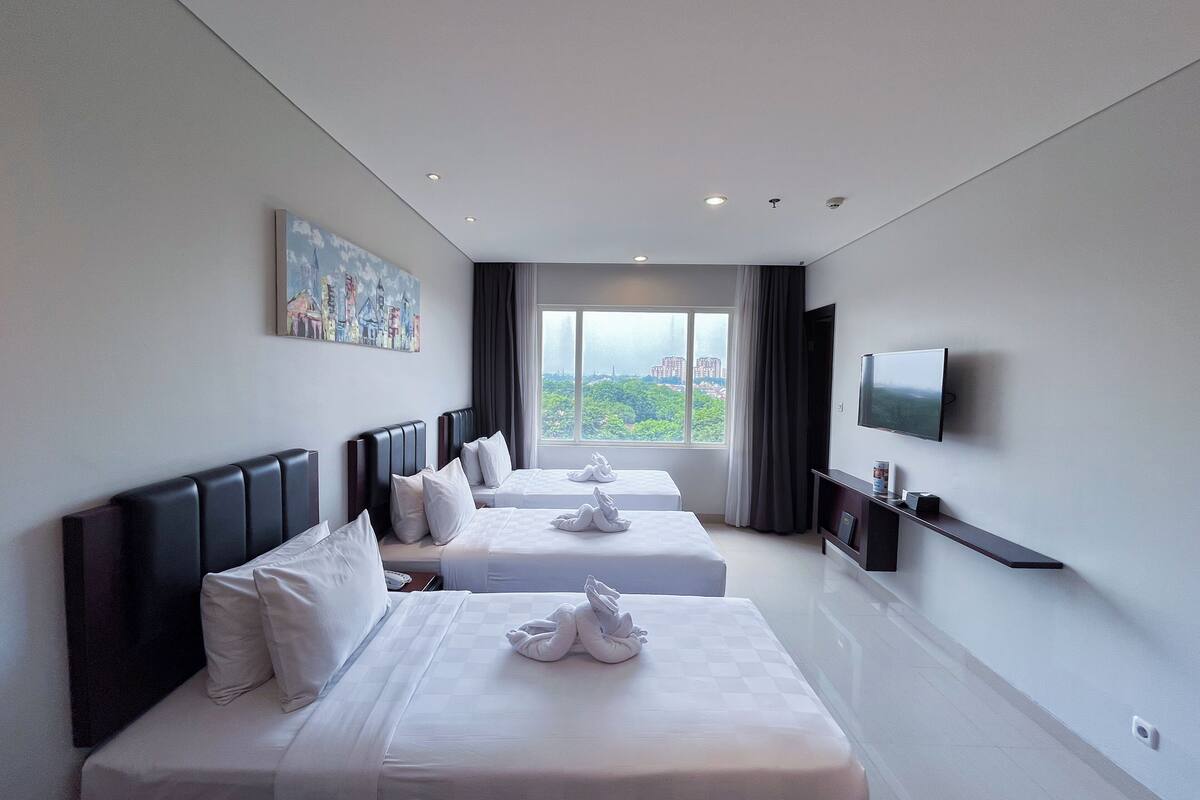 Triple Room, 3 Single Beds | City view