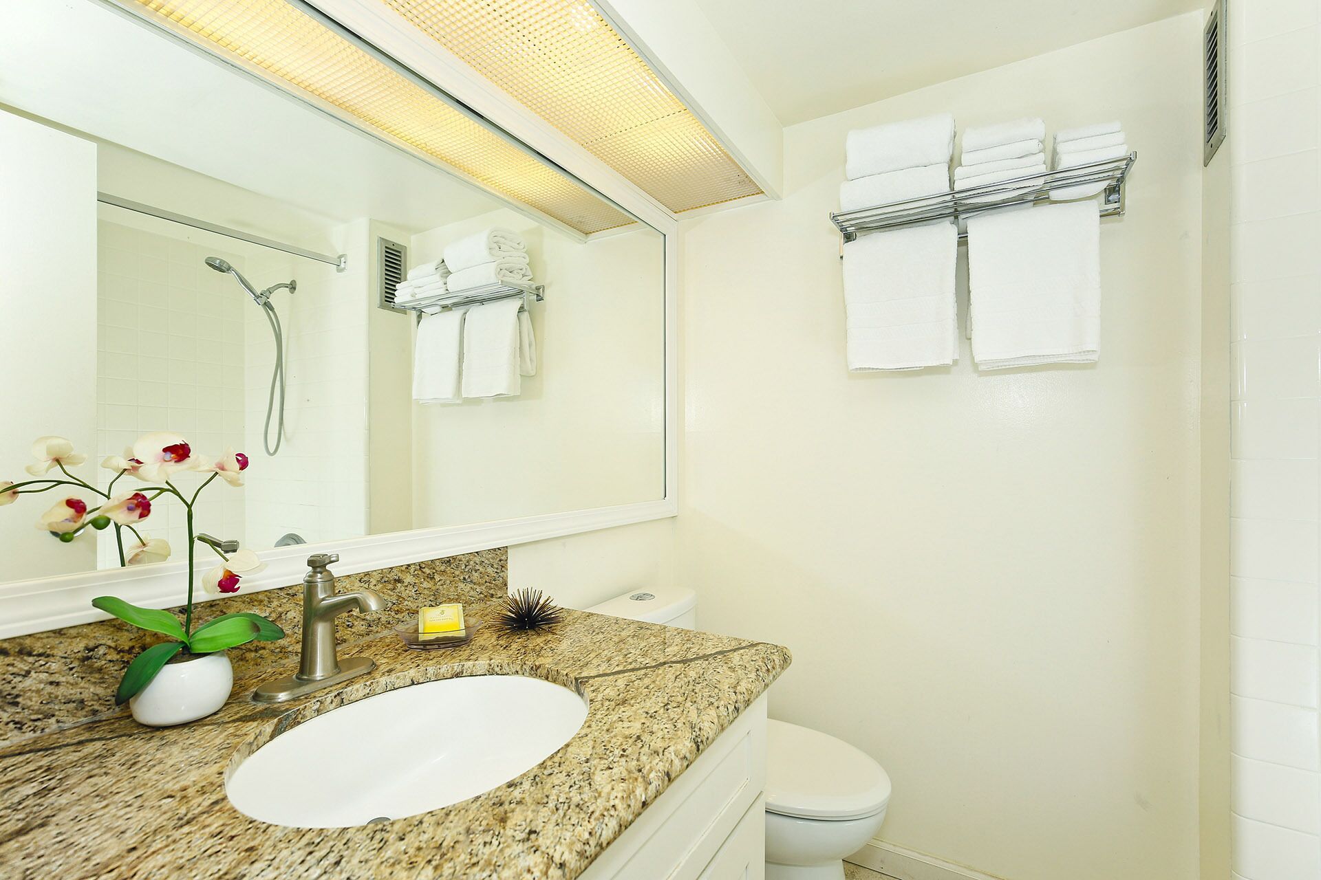 A bathroom with a granite countertop, a white sink, a mirror, a shower, and a toilet.