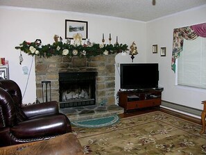 Cozy living room with a fireplace, leather armchair, flat-screen TV, and patterned rug.
