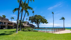 A pool surrounded by a fence, palm trees, and a view of the ocean.
