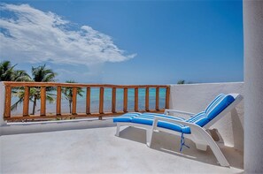 Property grounds - Caribbean classic beachfront villa, beautiful pool, AC and WiFi! (Tankah)