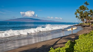 Une plage avec des vagues, des palmiers et une montagne qui se dessine à l’horizon.