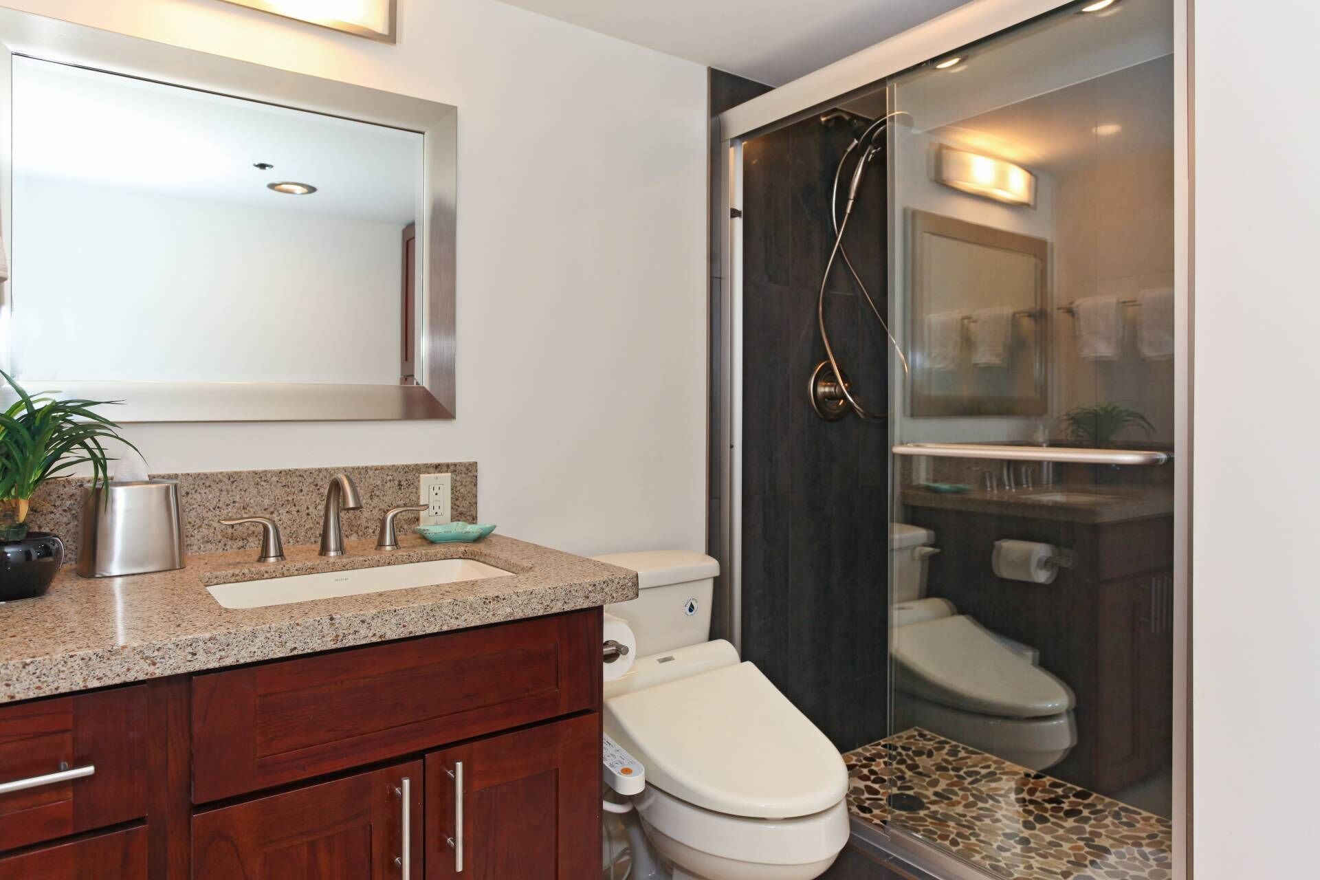 Shower, hair dryer, bidet, towels