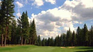 Ein Golfplatz mit blauem Himmel, grünem Rasen und hoch aufragenden Kiefern.