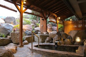 Property amenity - Maruyama Onsen Kojyokan (Minamiuonuma)