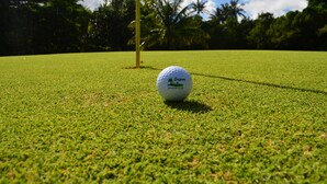 Ein Golfball auf einem gepflegten Rasenfeld mit blauem Himmel und Palmen im Hintergrund.