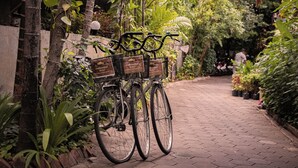 A bicycle with a basket and a sign, parked on a paved path surrounded by greenery. - Golden Temple Villa (Siem Reap)