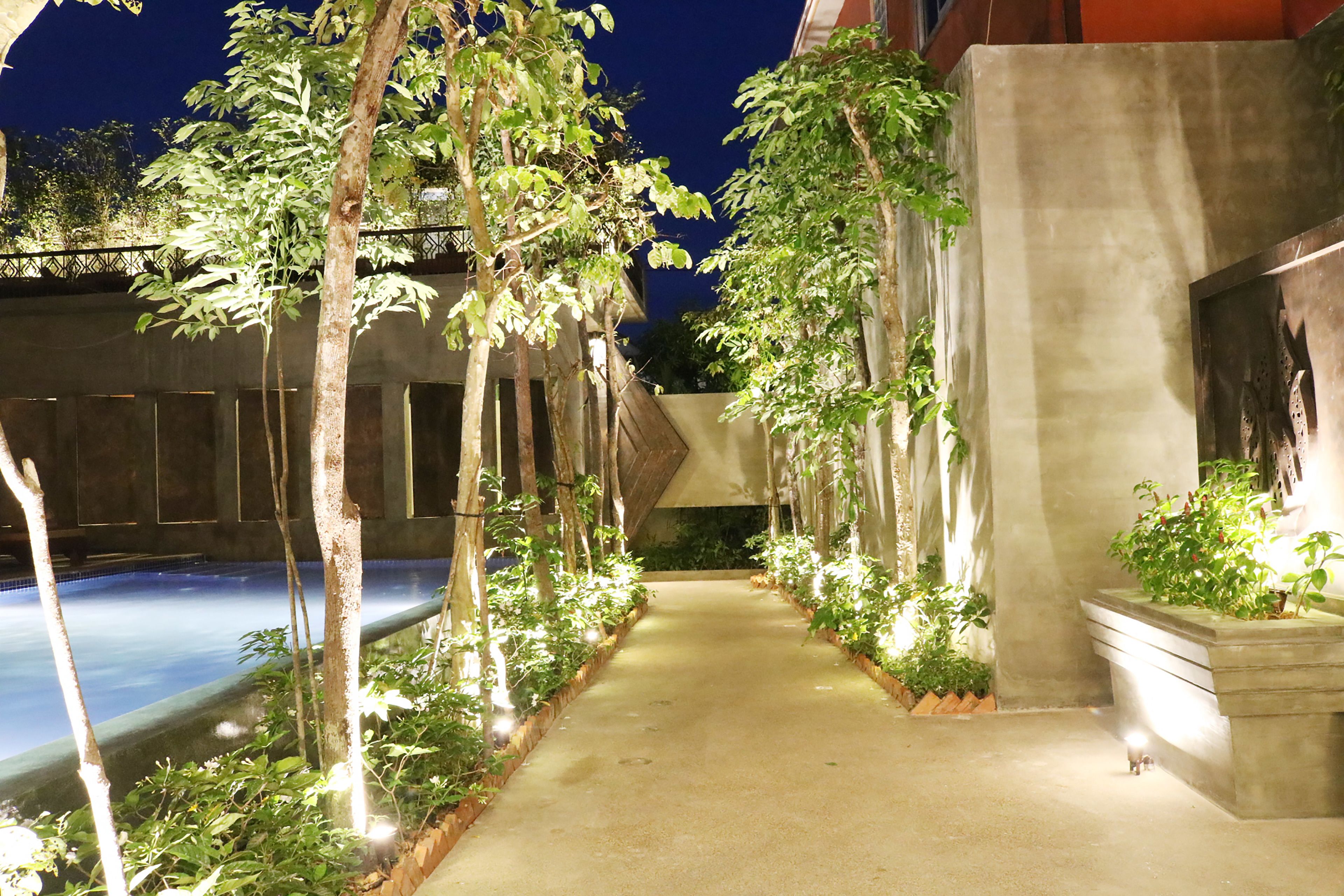 Vista nocturna de una zona de piscina con un camino de hormigón flanqueado por árboles y plantas, que conduce a un edificio con fachada geométrica.