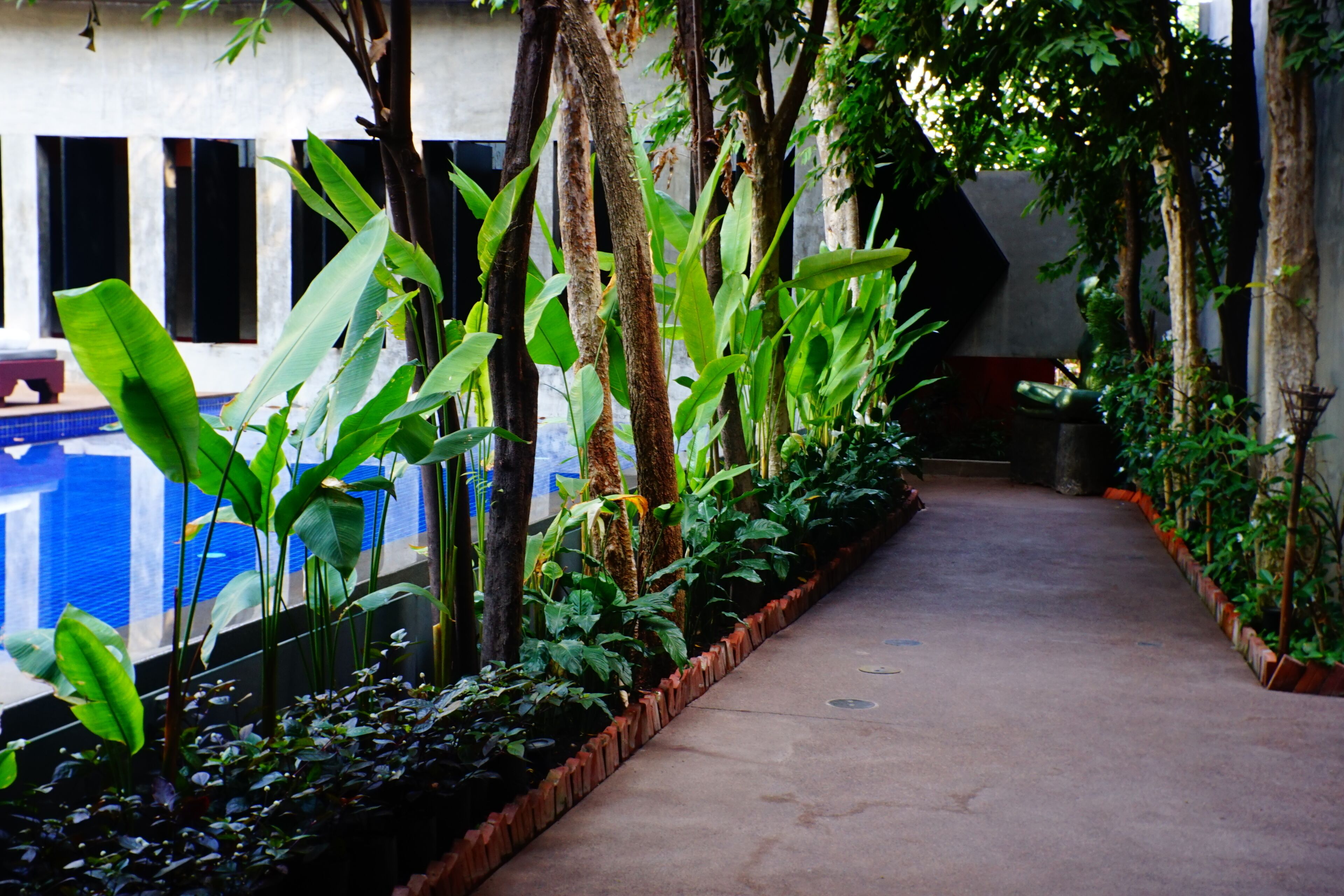A pathway lined with tropical plants and a pool on one side.