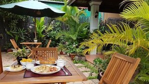 An outdoor dining area with wooden tables and chairs, surrounded by lush tropical plants. - Nika's House (Siem Reap)
