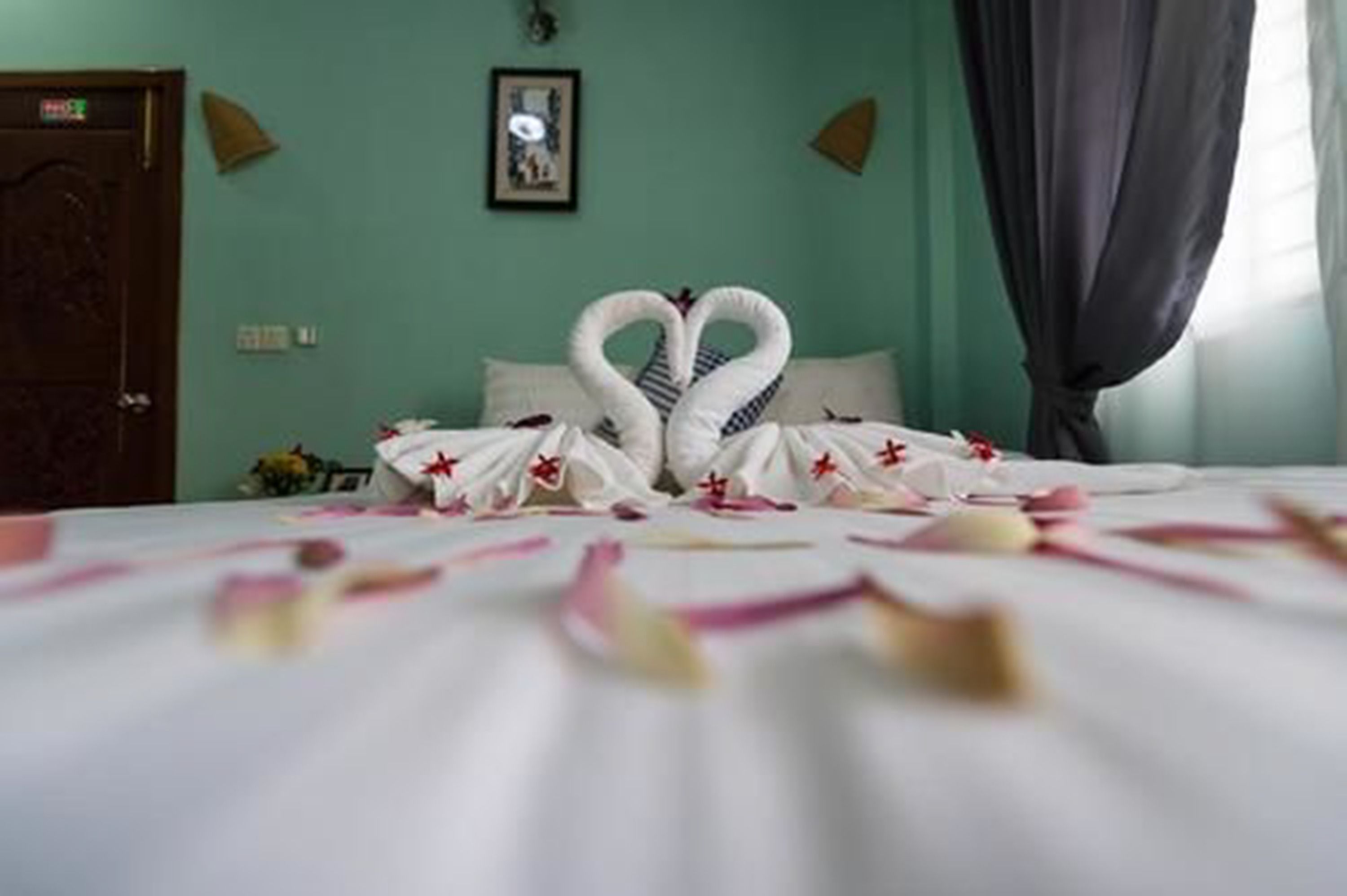 Photo - Nika's House