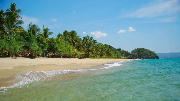 A beach with clear turquoise water, sandy shore, and dense palm trees. - Takatuka Beach Resort (Sipalay)