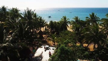Vista de playa con palmeras y cielo despejado.