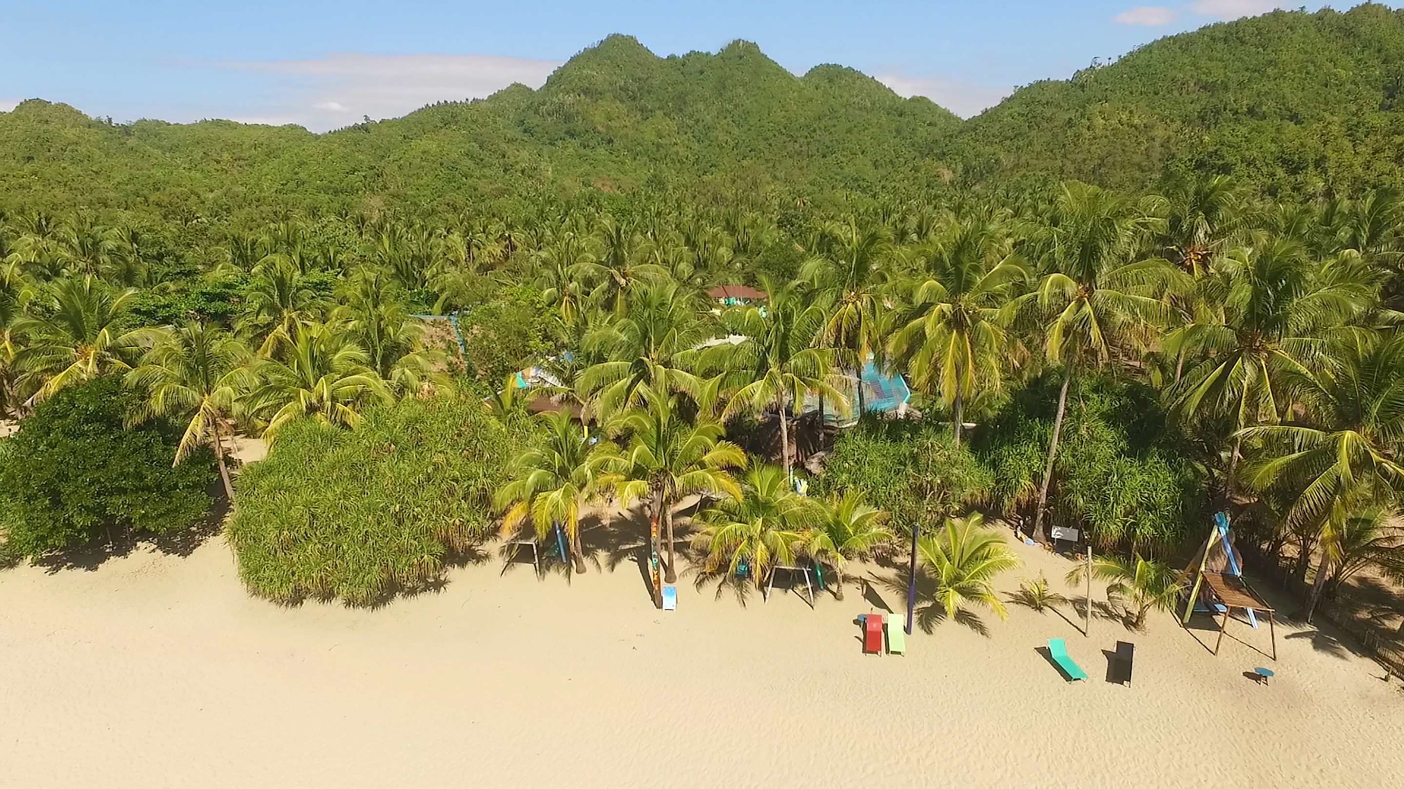 A beach with palm trees and a mountainous backdrop.